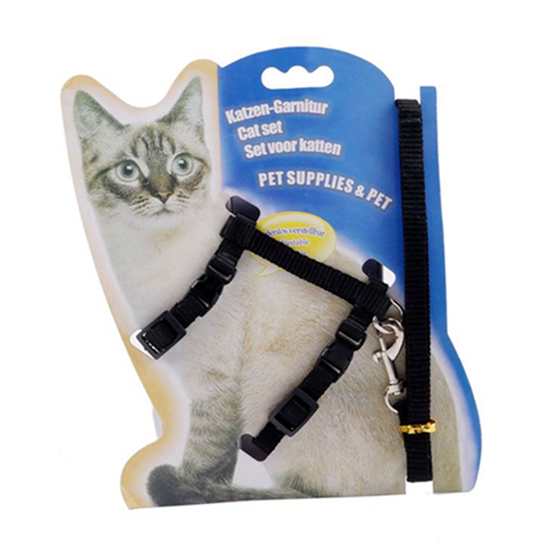 cat collar with leash