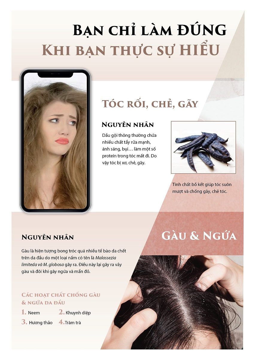 Combo Dầu gội và Dầu ủ tóc Aotanica