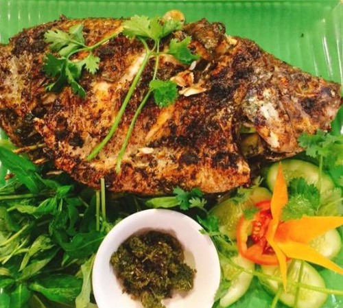Giống cây Mắc Khén