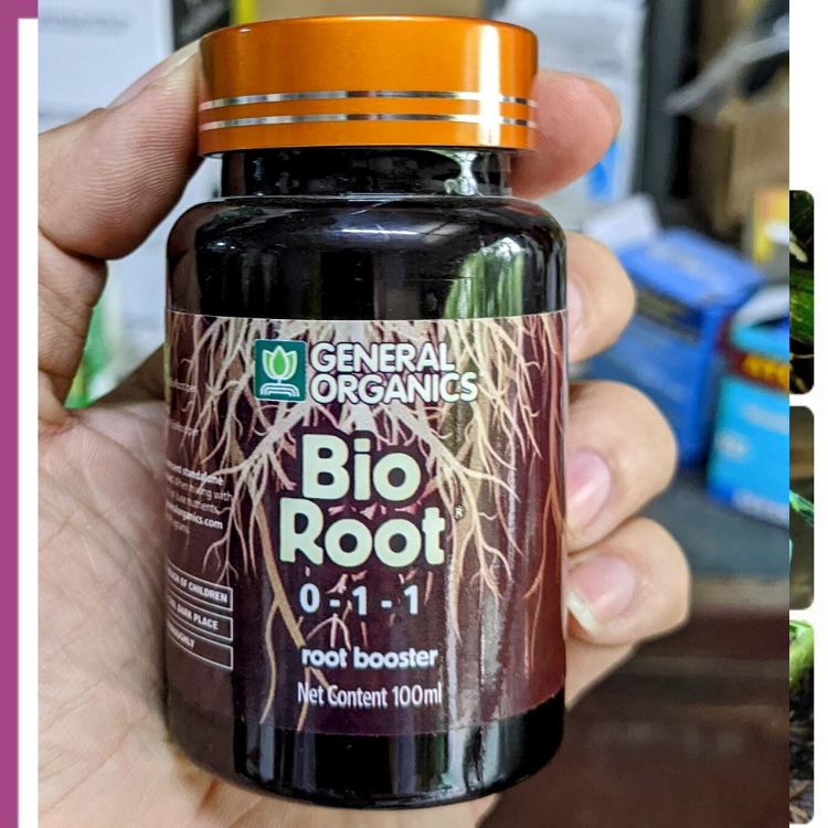 [Giá hủy diệt] Bio Root- kích rễ cực mạnh nhập khẩu từ Mỹ 100ml