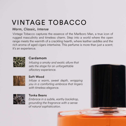 YN PERFUMERY | VINTAGE TOBACCO - Eau De Parfum 50ml