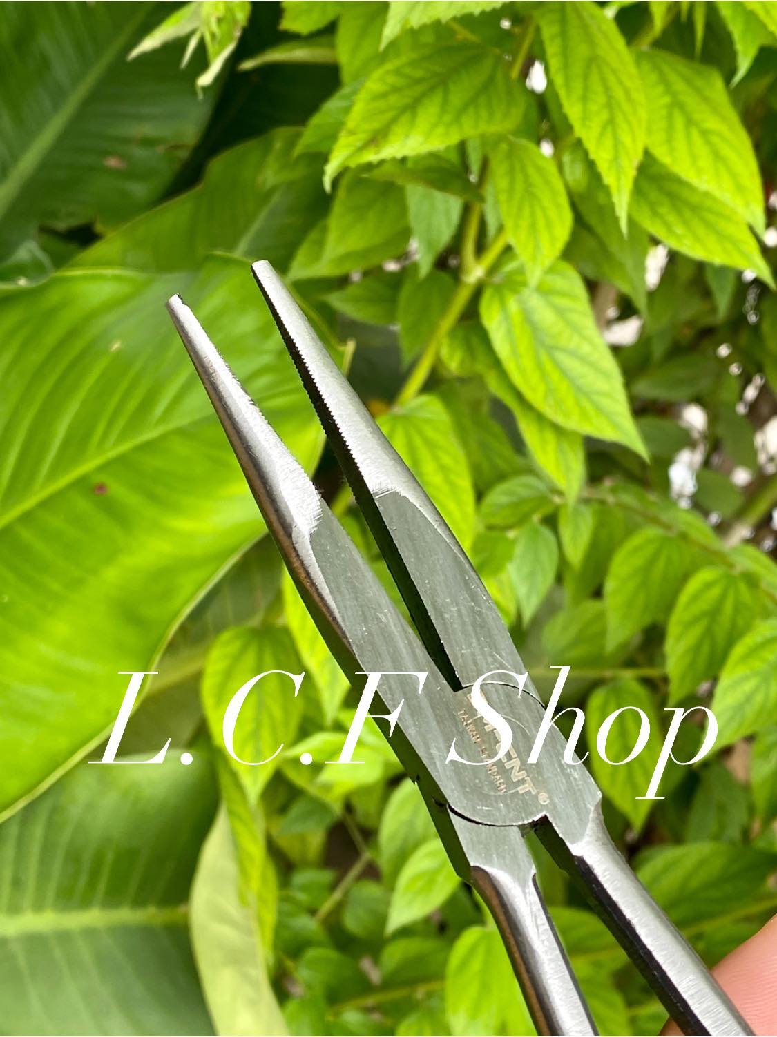 KIỀM GẮP CÁ ,GỞ LƯỠI CÁ DÀI 30CM