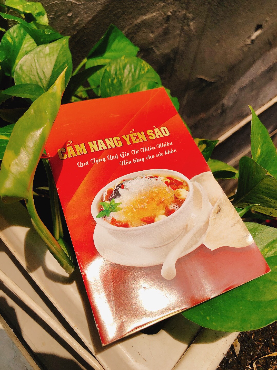 CUỐN CẨM NANG YẾN SÀO CAO CẤP BẢN ĐẸP