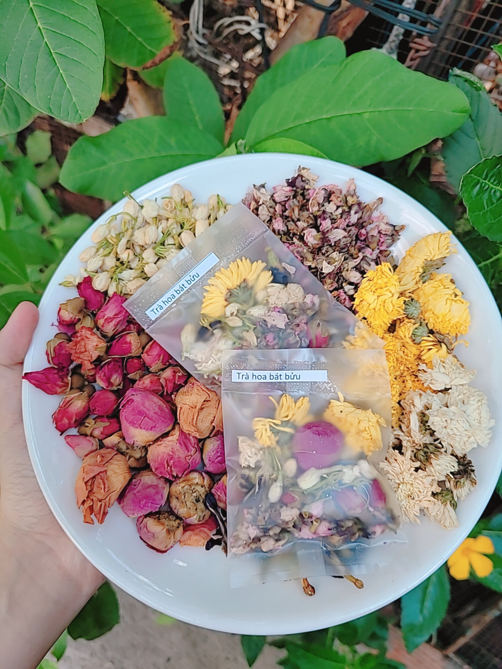 combo trà hoa bát bửu 15 gói