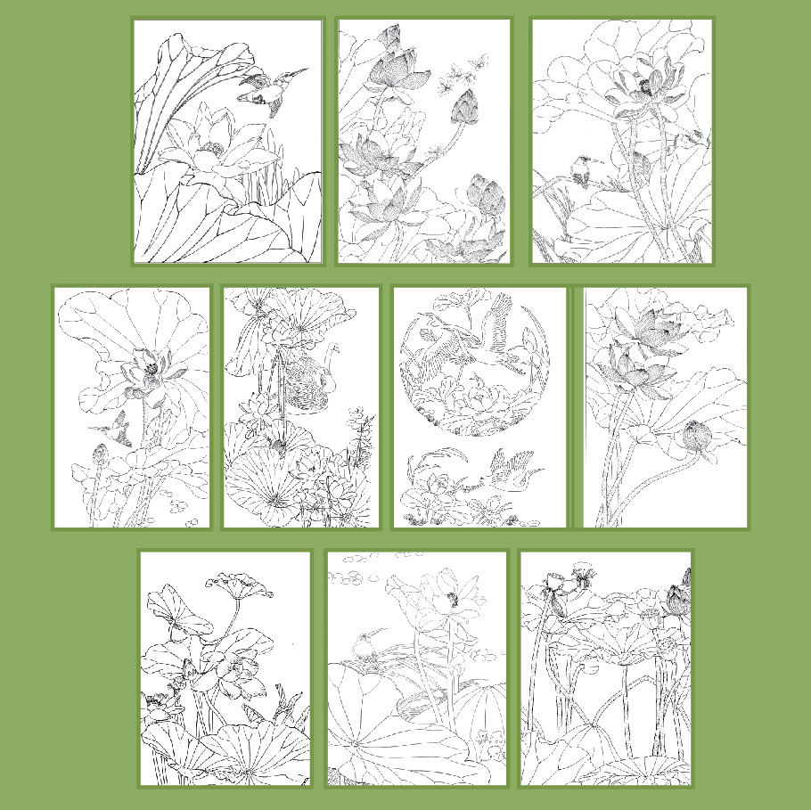 line art tranh tô màu nước chủ đề hoa sen cổ ( combo 10tranh) giấy dầy đẹp