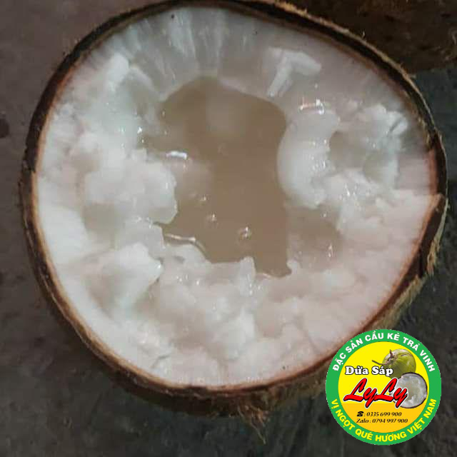 DỪA SÁP LOẠI 1 CẦU KÈ TRÀ VINH