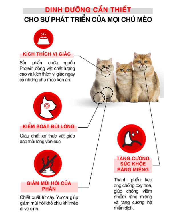 [Hoàn Tiền 10%] Hạt thức ăn cho mèo mọi lứa tuổi Today's dinner