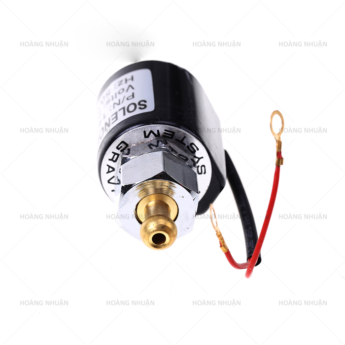 Cục bơm bàn ủi hơi nước bình treo (solenoid)