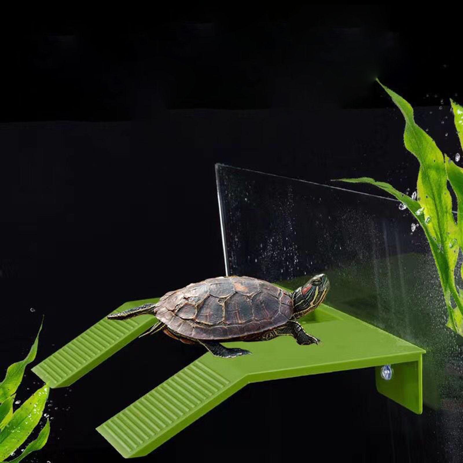 Moon TRIANGLE Turtle Resting Basking Platform Climbing Shelf for Frog Tortoises Amphibians