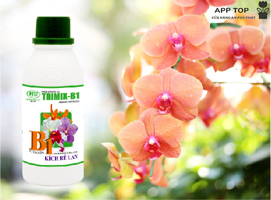 Trimix - B1 Điền Trang Siêu Kích Rễ Lan -100ml