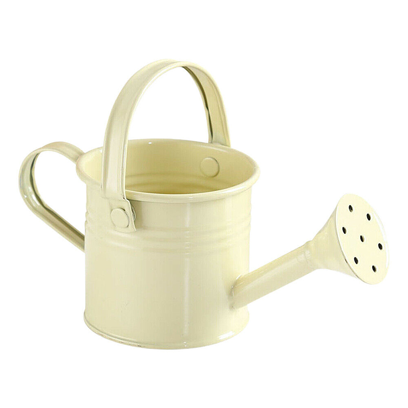BOKALI Watering Can Garden Flower Kettle Mini Small Water Spraying Pot Metal Water Can