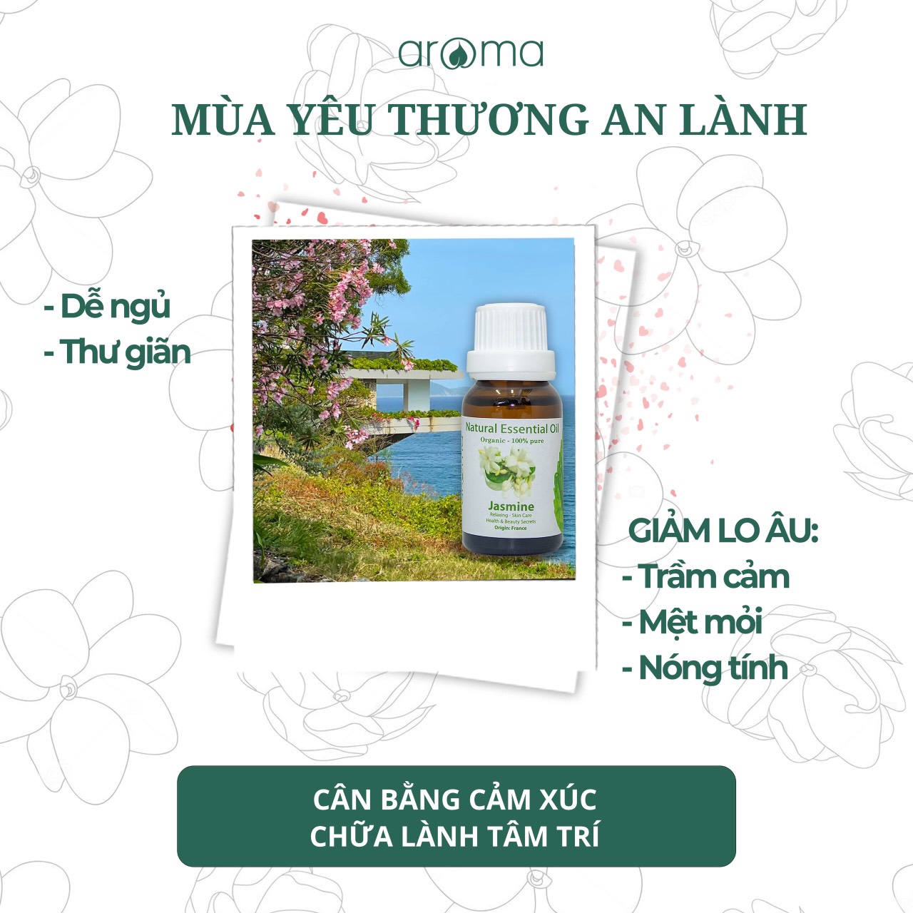 Cinnamon-calm blend essential oil