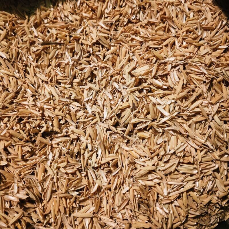 3Kg Vỏ trấu khô - giá thể vỏ trấu trồng cây