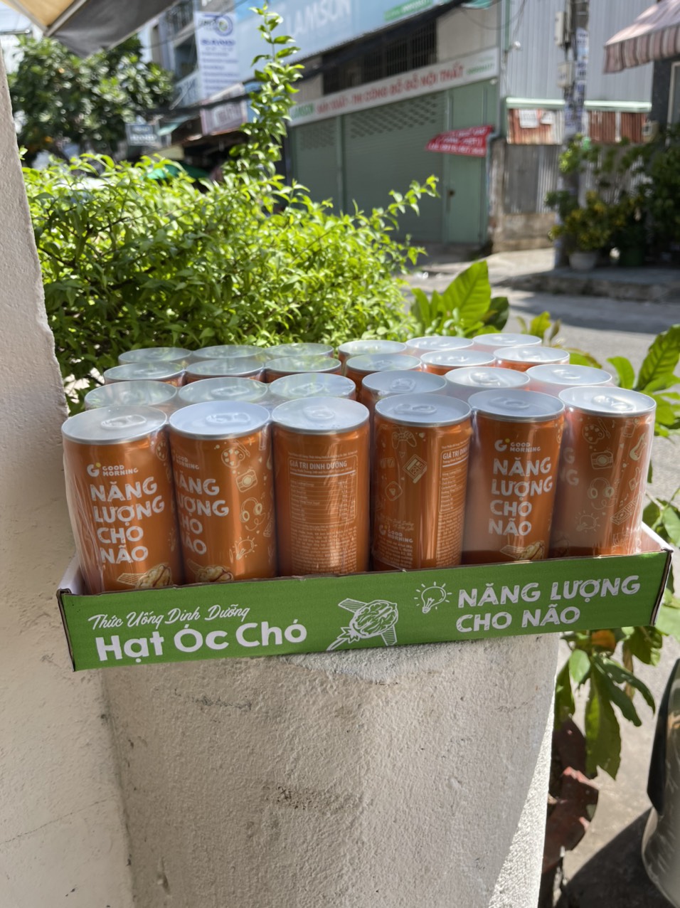 sữa hạt óc chó 240ml thùng 24 lon