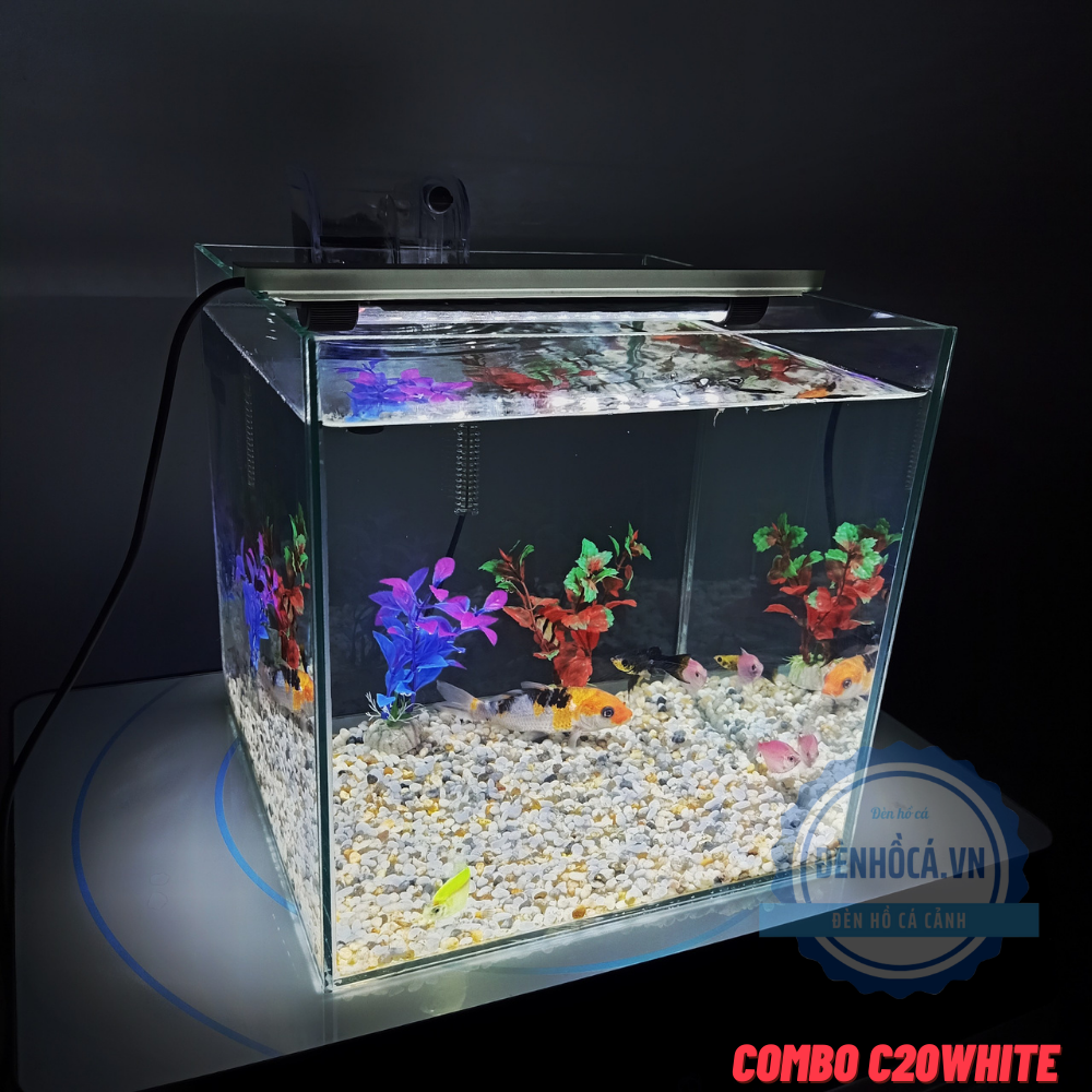 [Hoàn Tiền 10%] Hồ cá mini CUBIC 25cm để bàn
