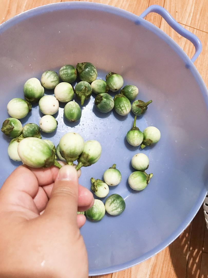cà đắng tây nguyên 1kg
