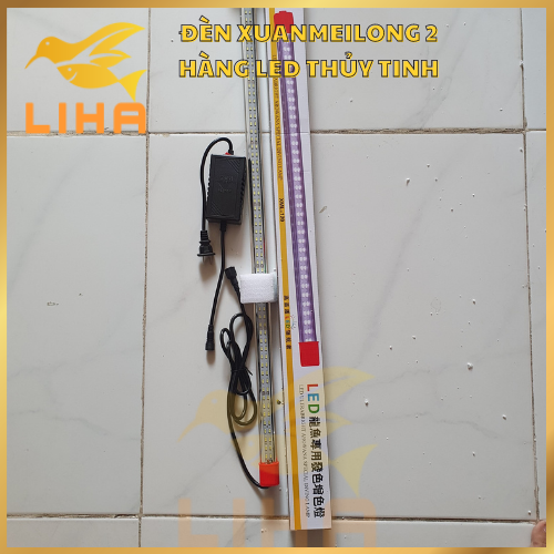 Đèn led xml 2 hàng bóng thủy tinh siêu đẹp - led xuanmeilong chuyên dụng cho cá rồng