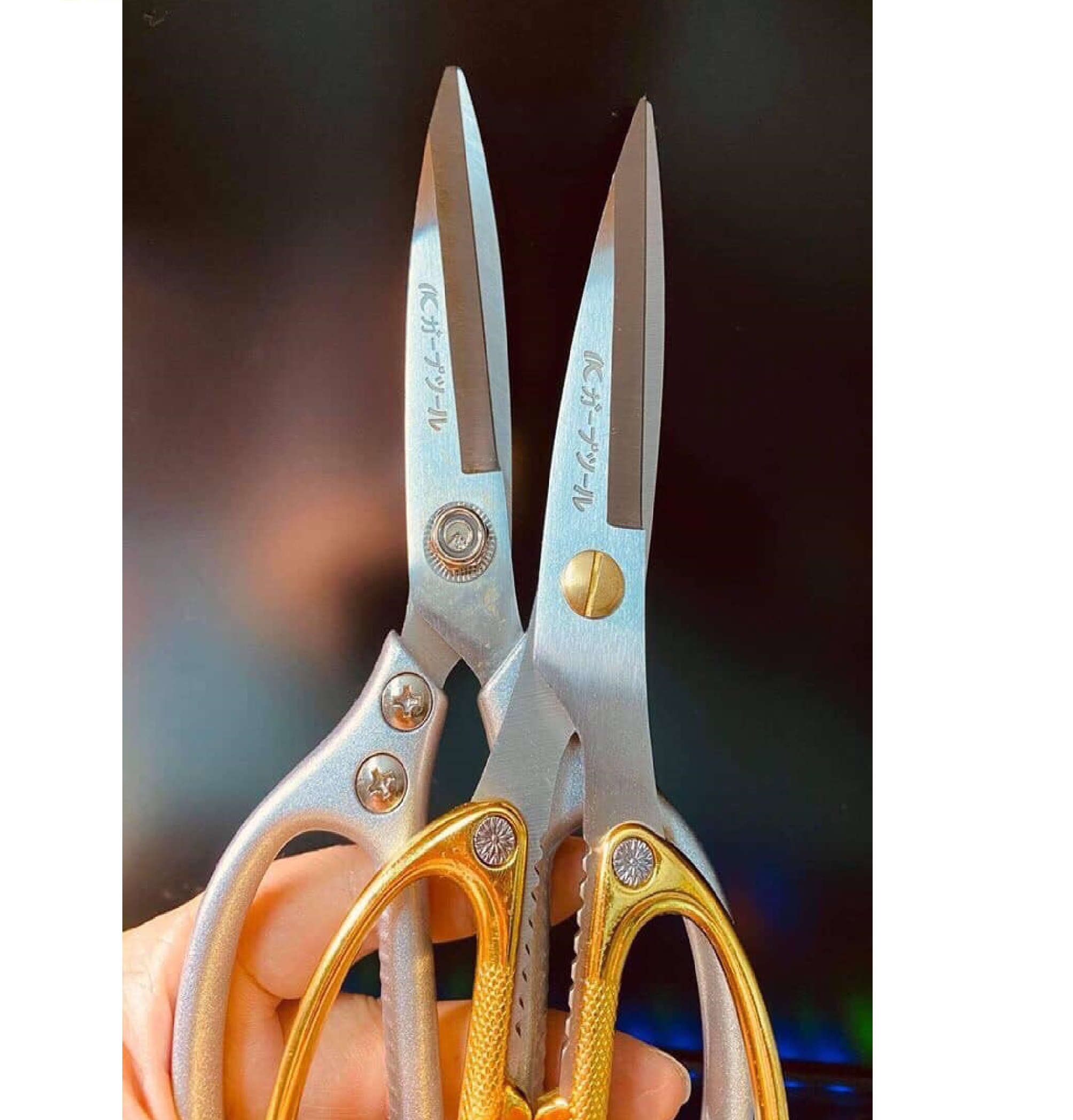Japanese Scissors Kapusi Sk-5