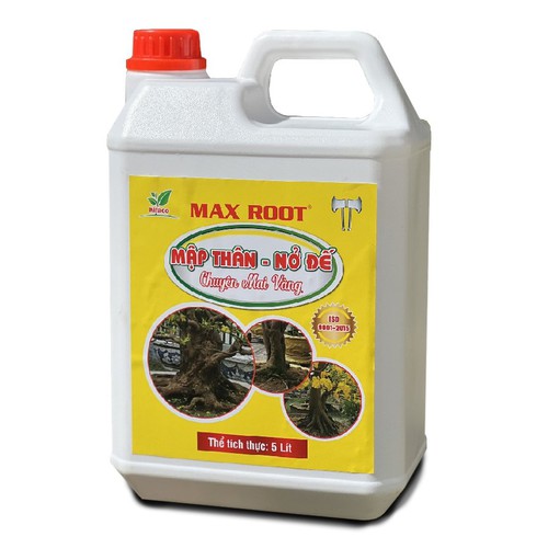 PHÂN BÓN MẬP THÂN NỞ ĐẾ MAI VÀNG MAXROOT 5 LÍT