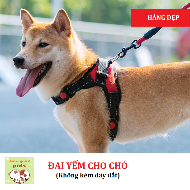 [FREESHIP] Đai Yếm Cho Chó (Không kèm dây dắt)