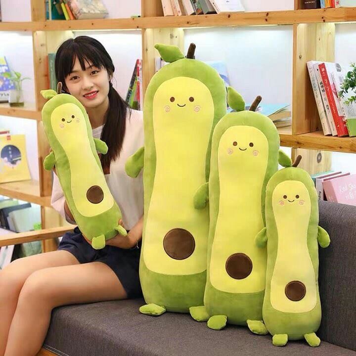 Gấu bông, gối ôm trái bơ
