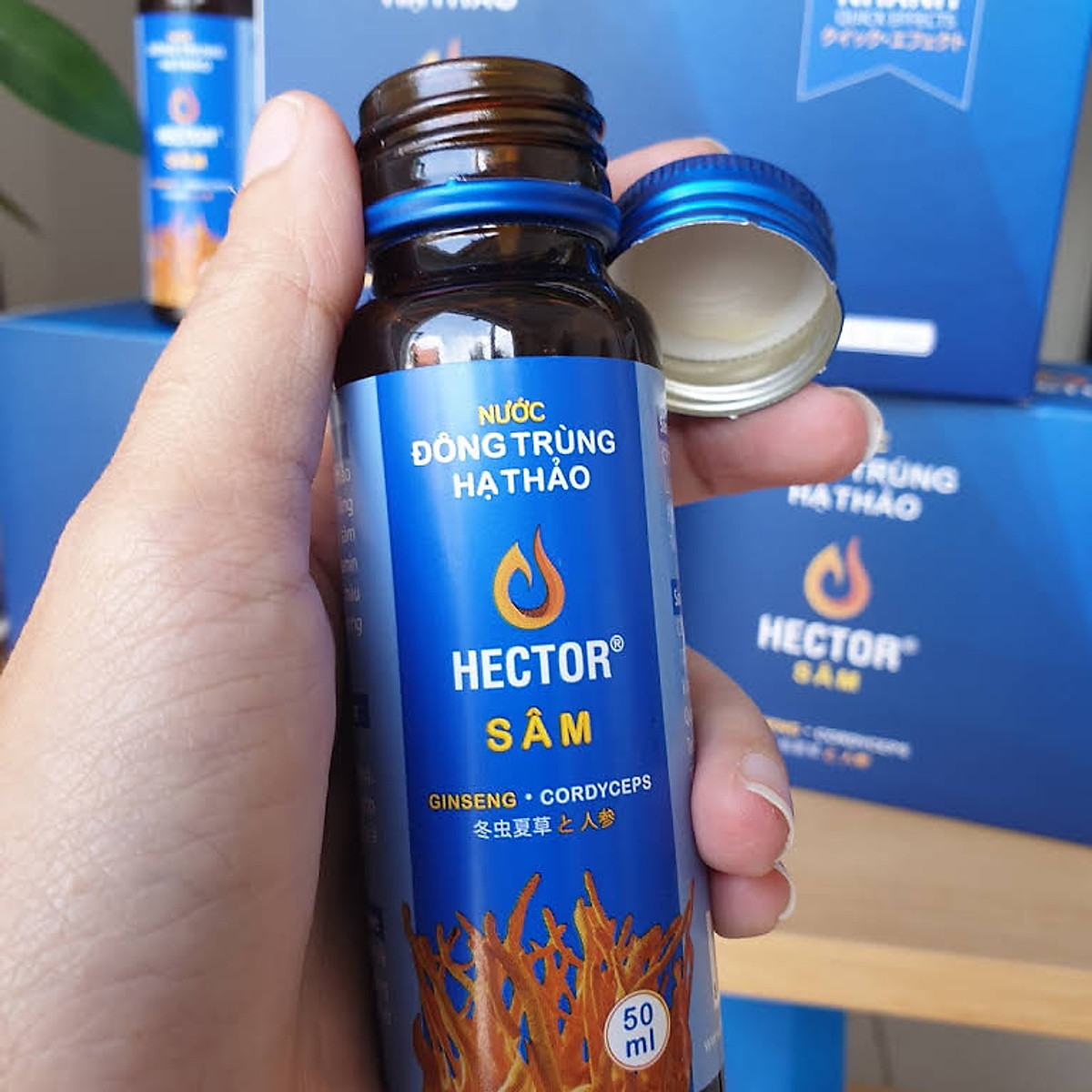 (Combo 2 hộp 20 chai)Hector Cordyceps Ginseng ( xanh)(50ml/chai)( xanh)