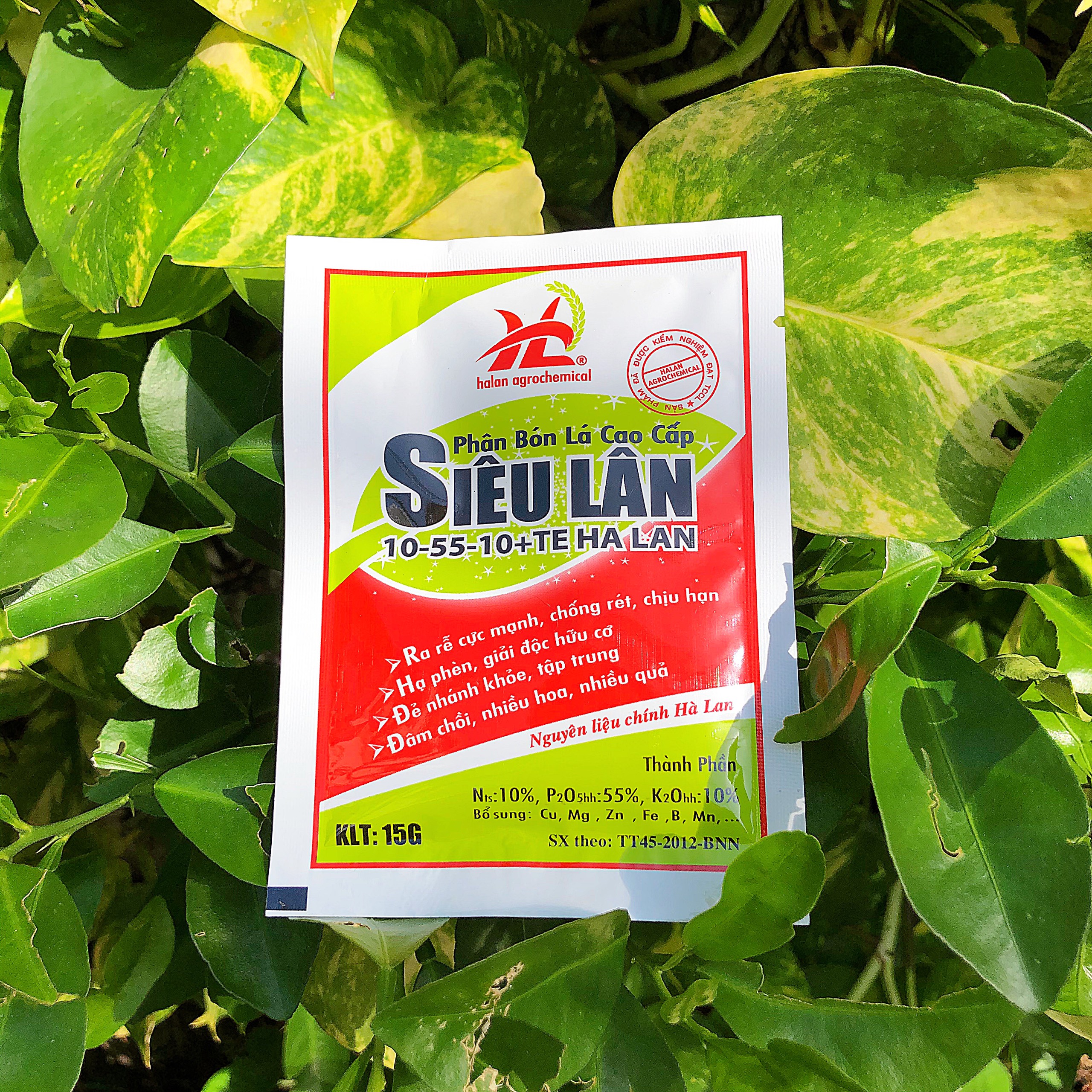 SIÊU LÂN HÀ LAN