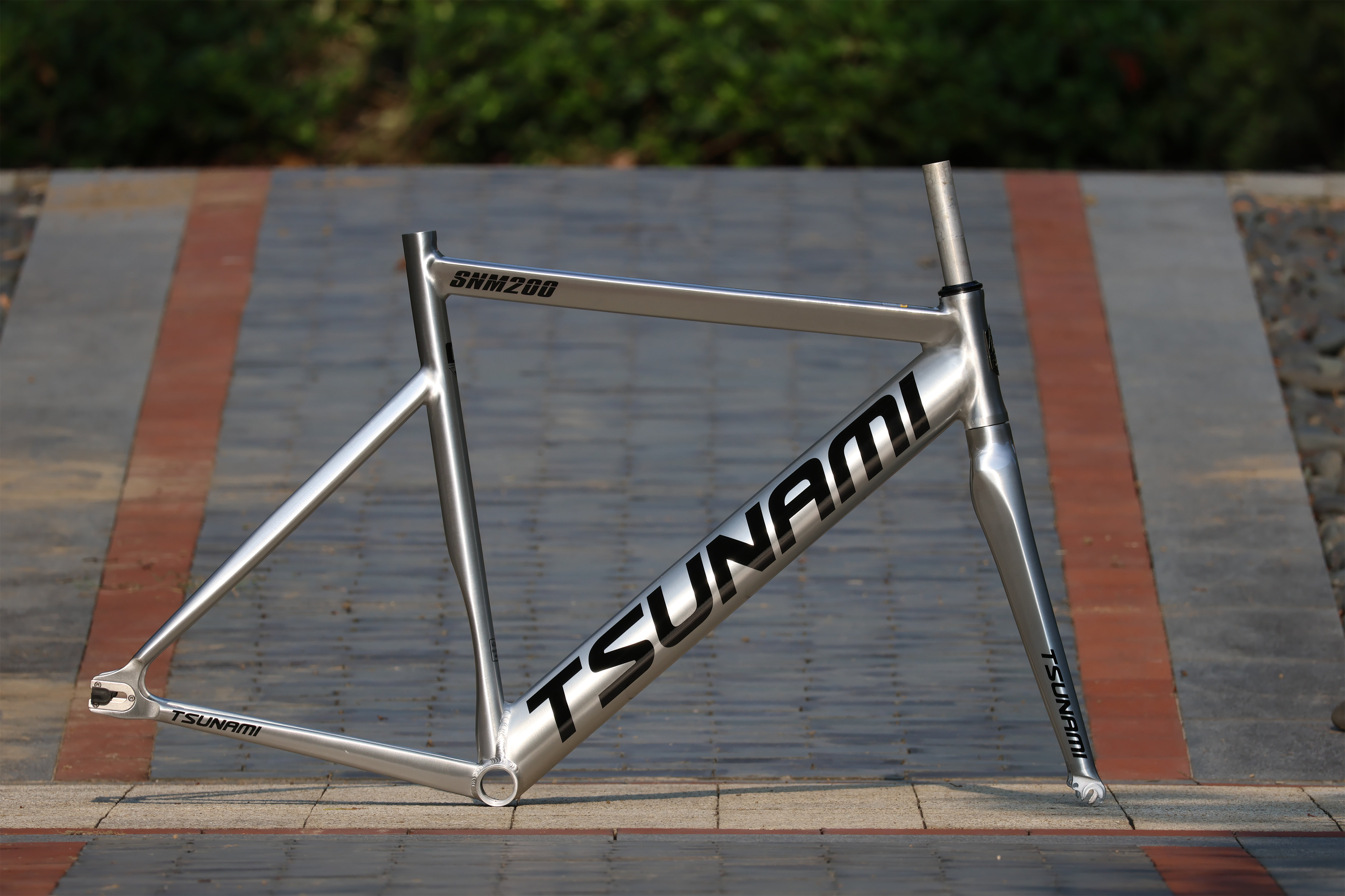 TSUNAMI SNM200 フレーム Tsunami SNM200 Dead Flying Frame Speed
