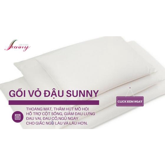 CODRuột gối nằm vỏ đậu xanh Sunny