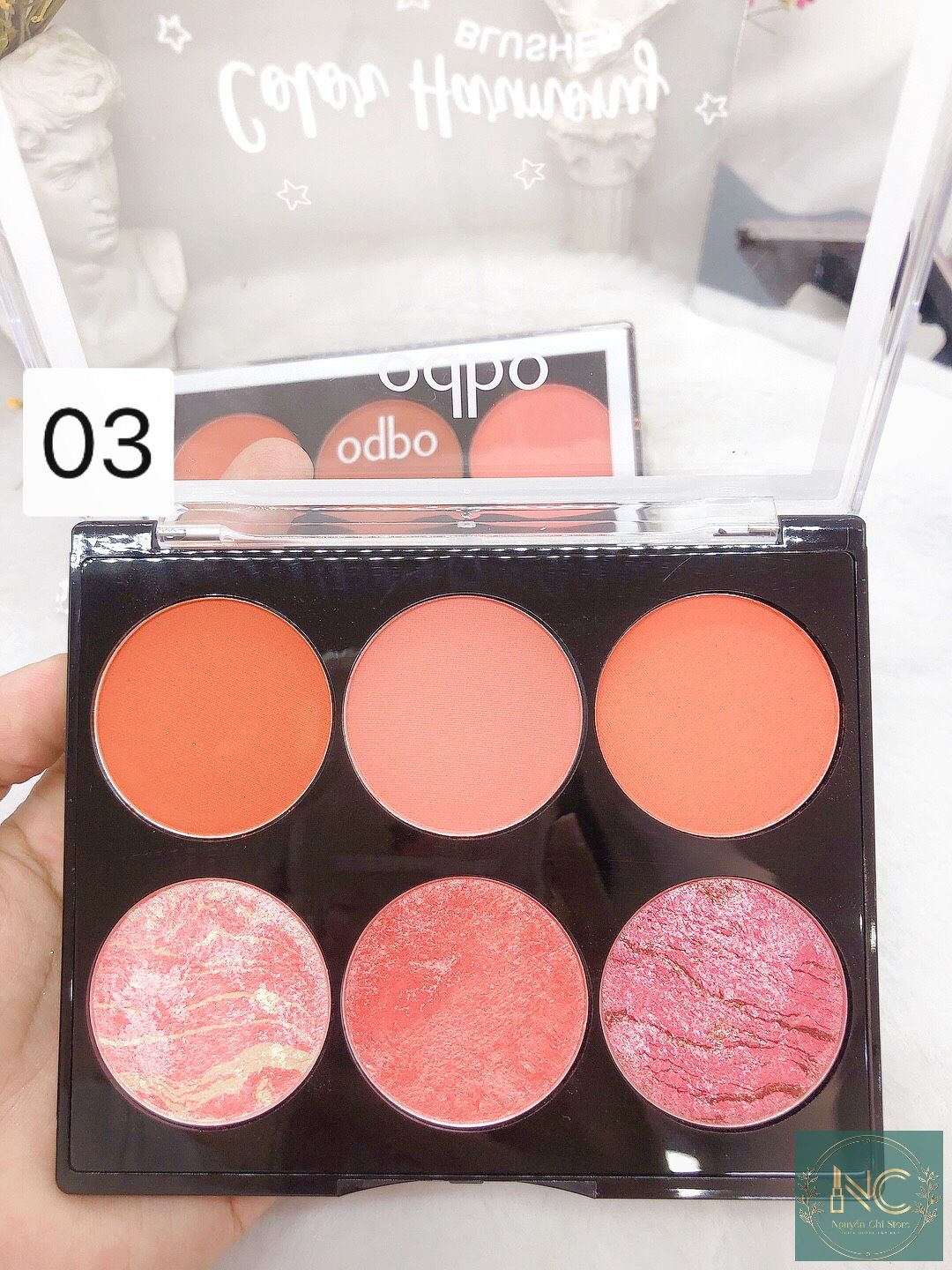 PHẤN MÁ HỒNG 6 Ô ODBO COLOR HARMONY BLUSHER