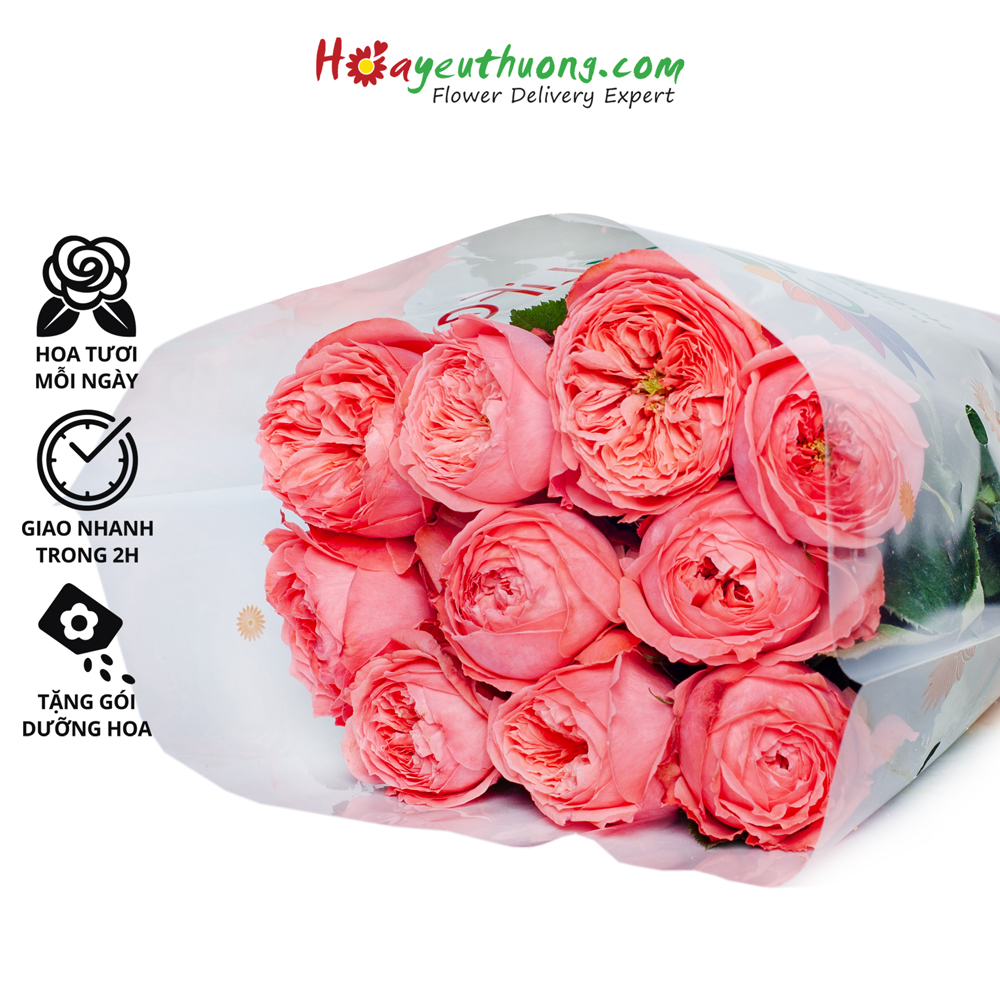 Hoa Hồng David Lady Hoayeuthuong- hoa tươi Đà Lạt trang trí nhà cửa thumbnail