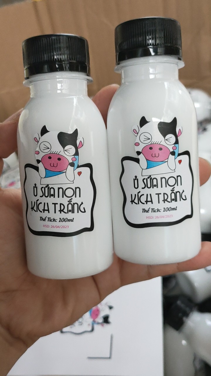 Ủ sữa non kích trắng con bò