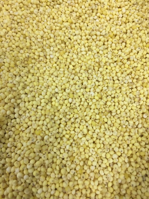 Kê nếp vàng loại 1 thơm dẻo (1kg Hút chân không)