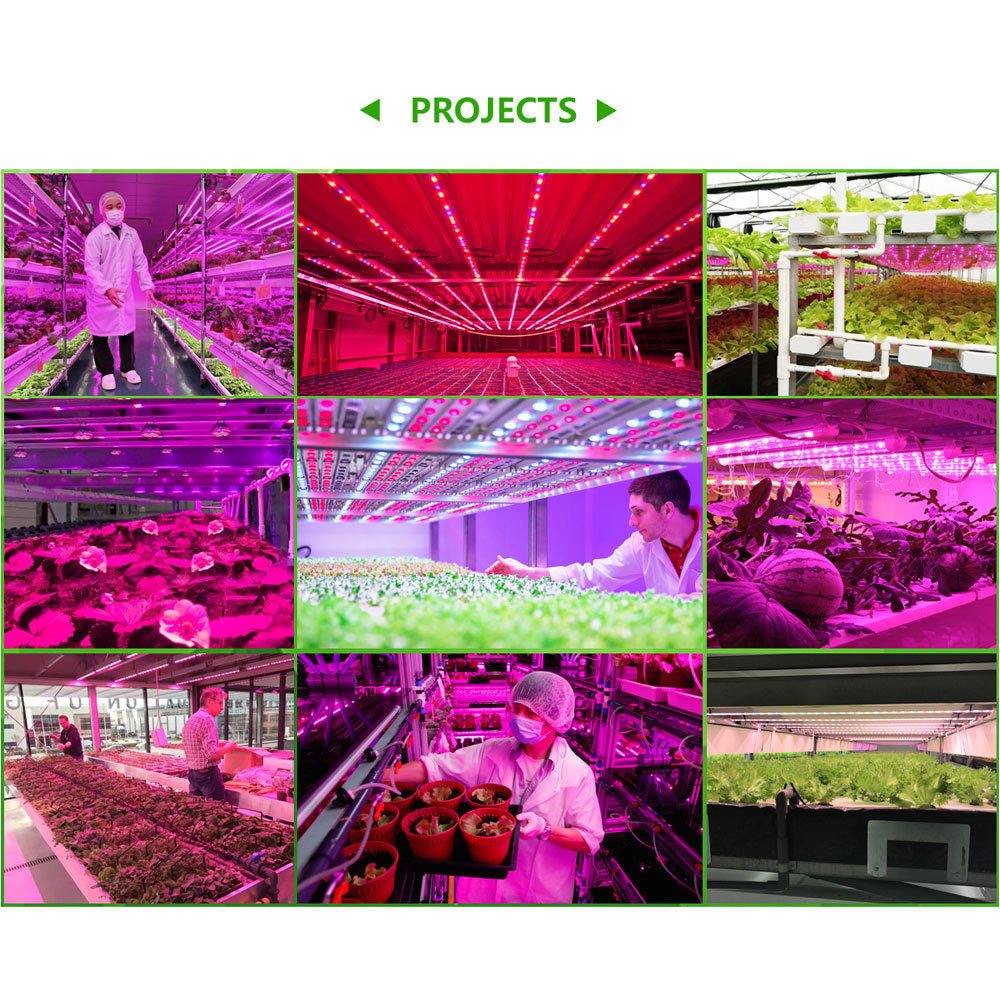 5050 Led Grow Full Spectrum Phyto Strip Lamp 1-5m 10m Red Blue Plants ...