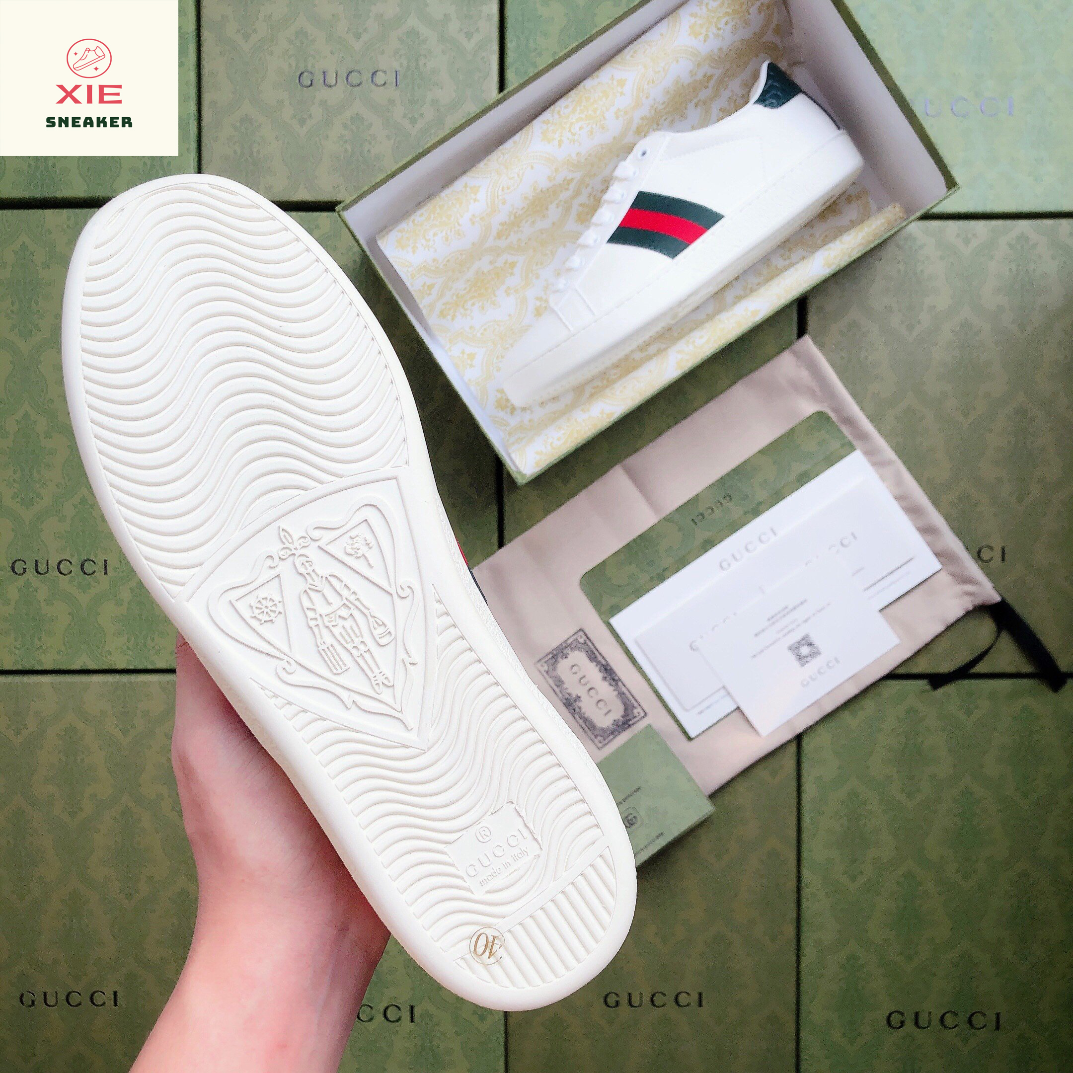 Giày Gucci ACE Trơn - 1.1 + [Tặng thêm 1 bộ dây + FreeShip + Full Box + Bill + Phụ Kiện]
