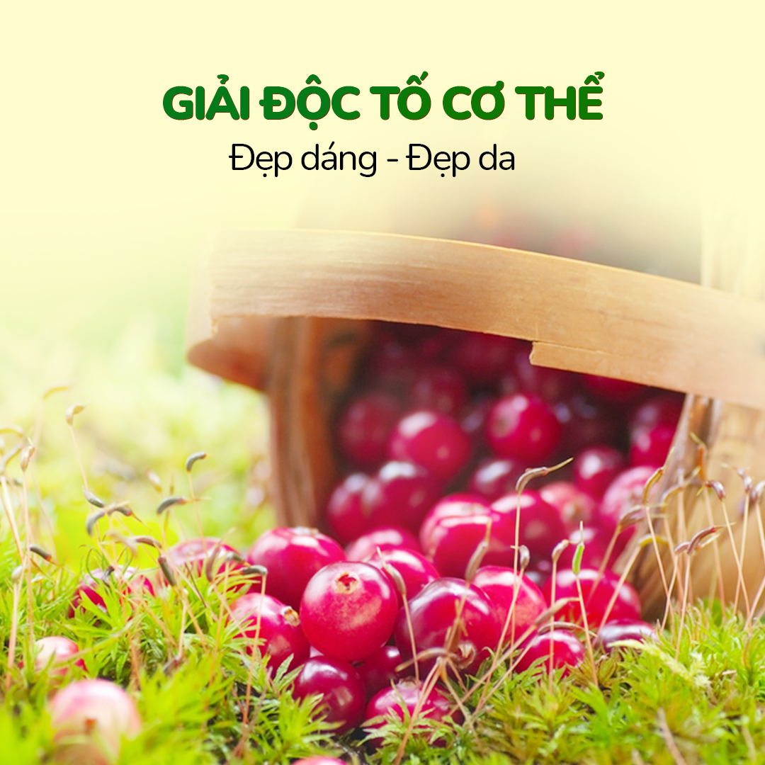 Nam Việt Quất Canada Dan D Pak 350gr