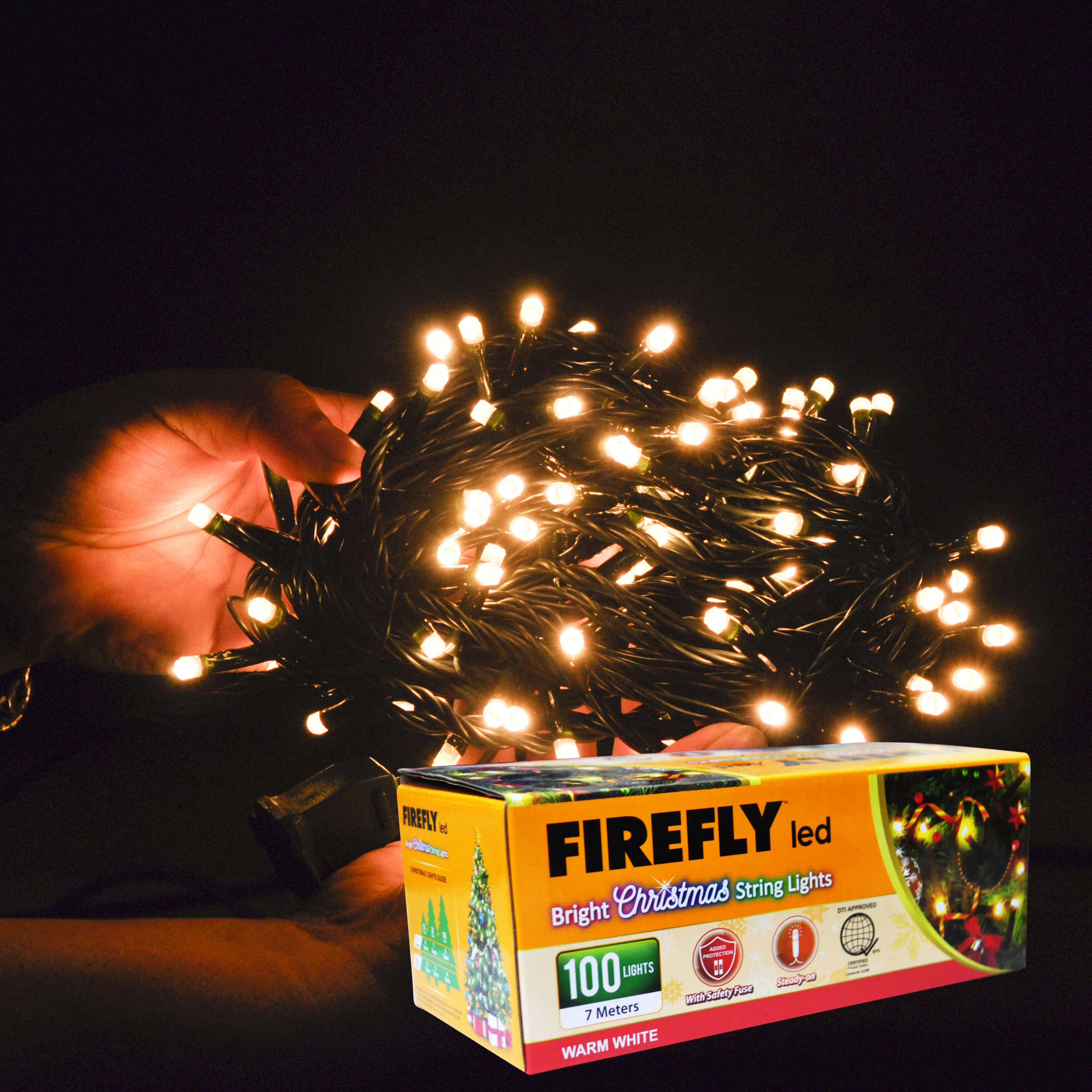 100 Led Christmas Lights 