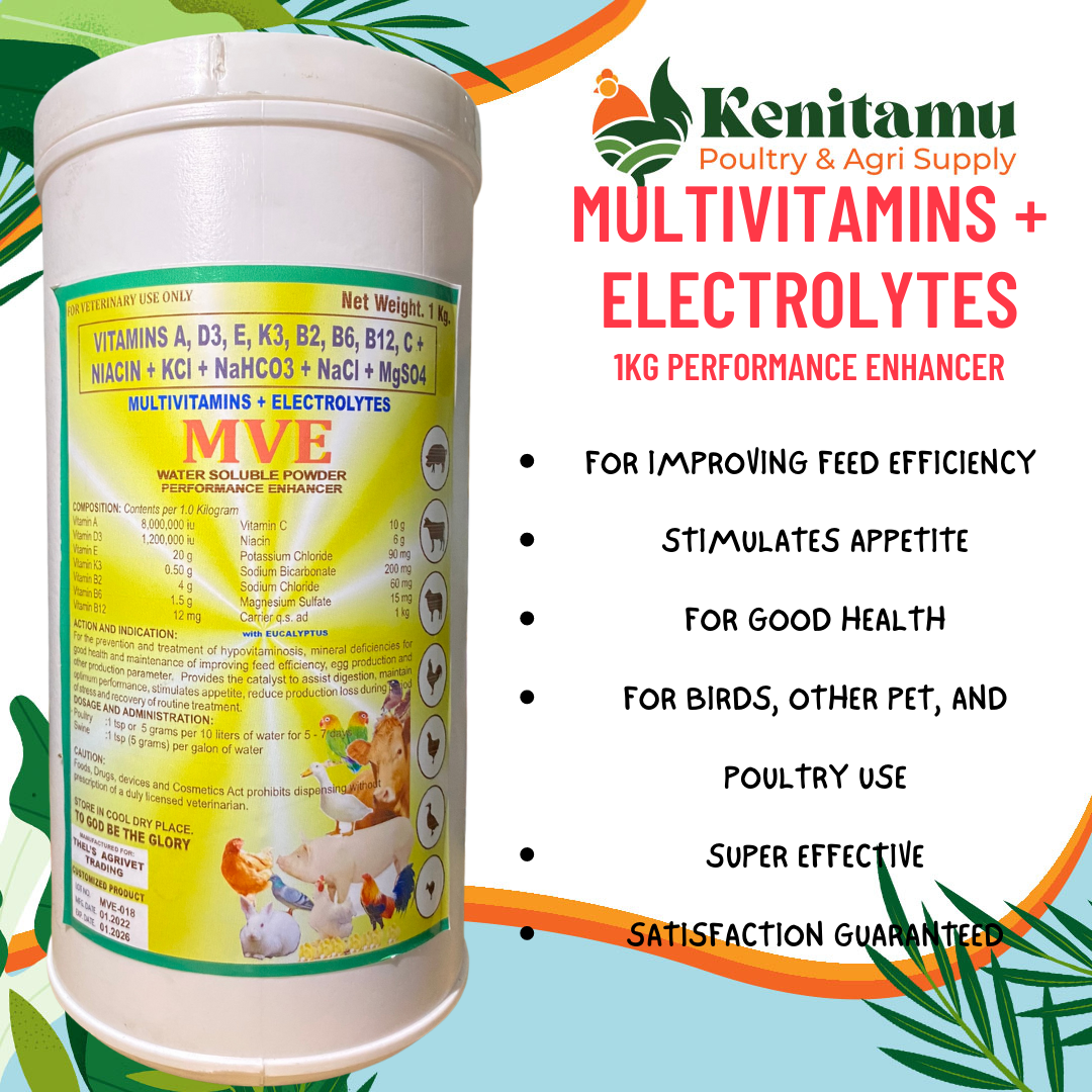 MULTIVITAMINS + ELECTROLYTES 1KG ESSENTIAL VET POWDER Lazada PH