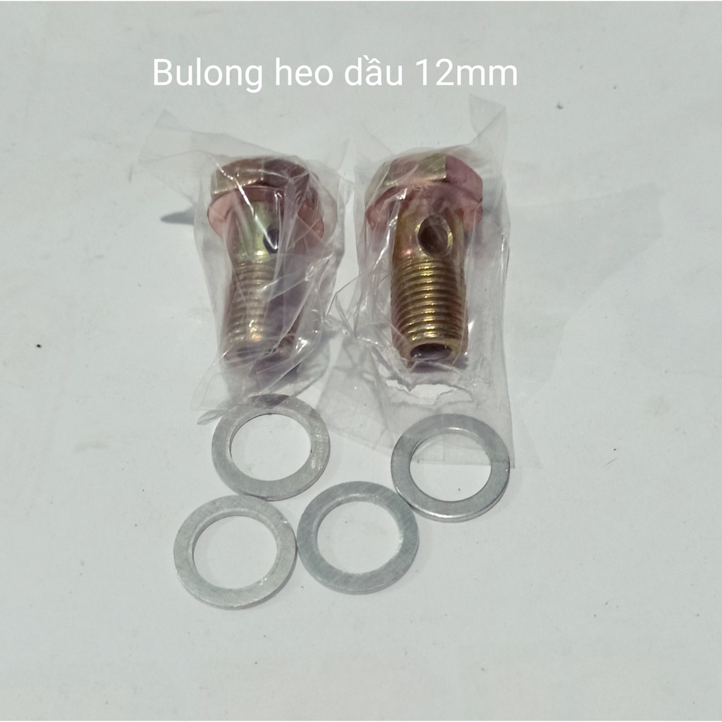 Boar head oil seal for D6 diesel engine-D24 China