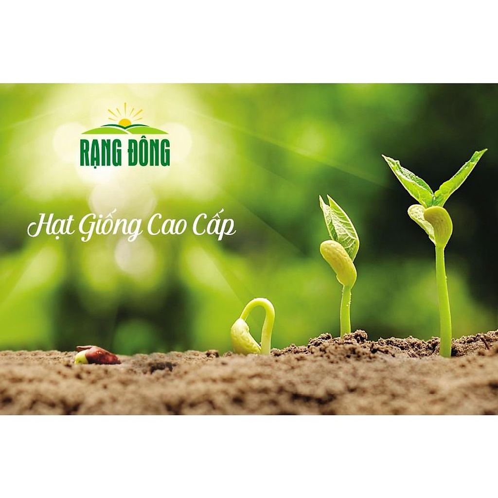 Hạt Giống Bắp Nếp Dẻo Cẩm Hồng 5gr