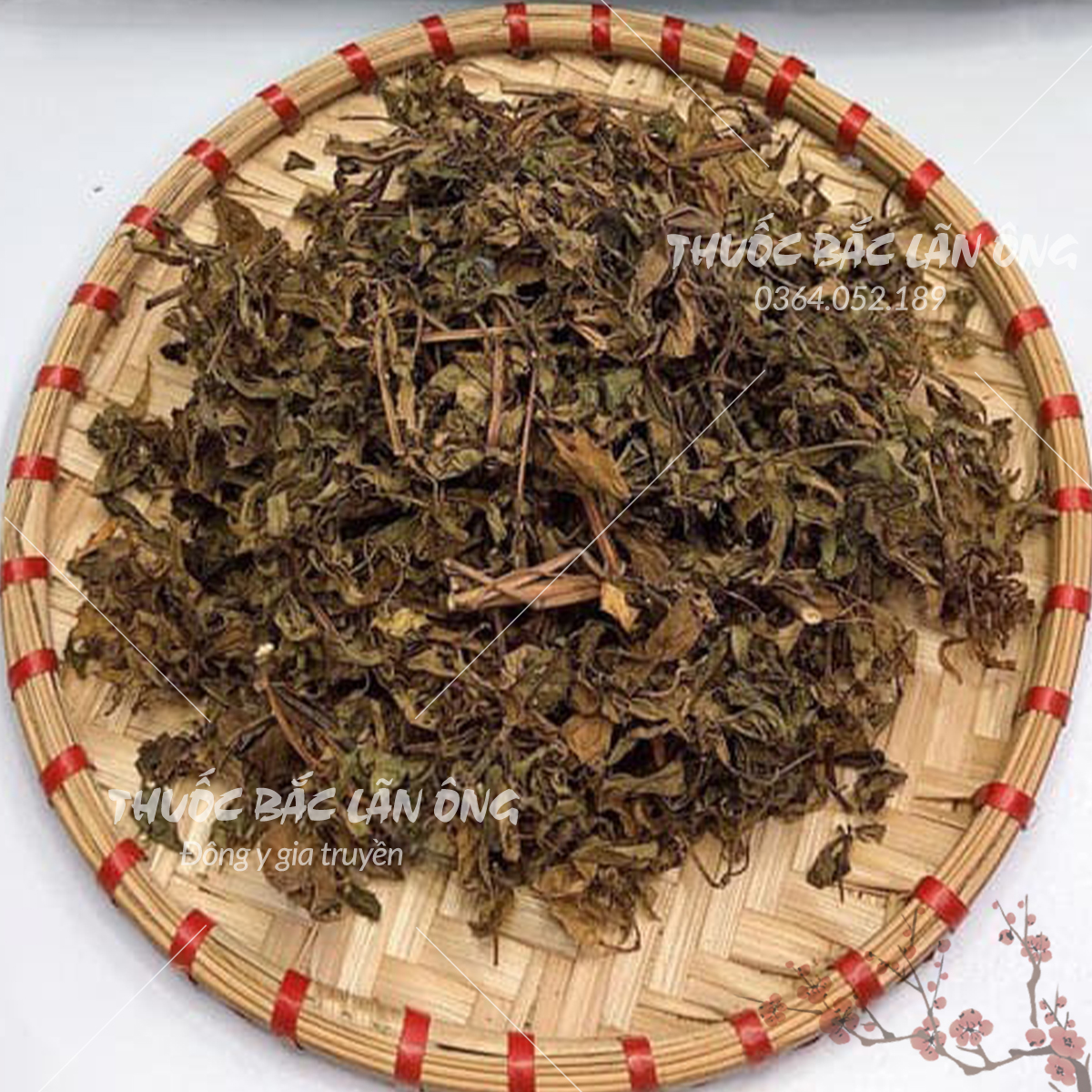 Lá đinh lăng khô 100g, trà đinh lăng, sạch, thơm - Lãn Ông