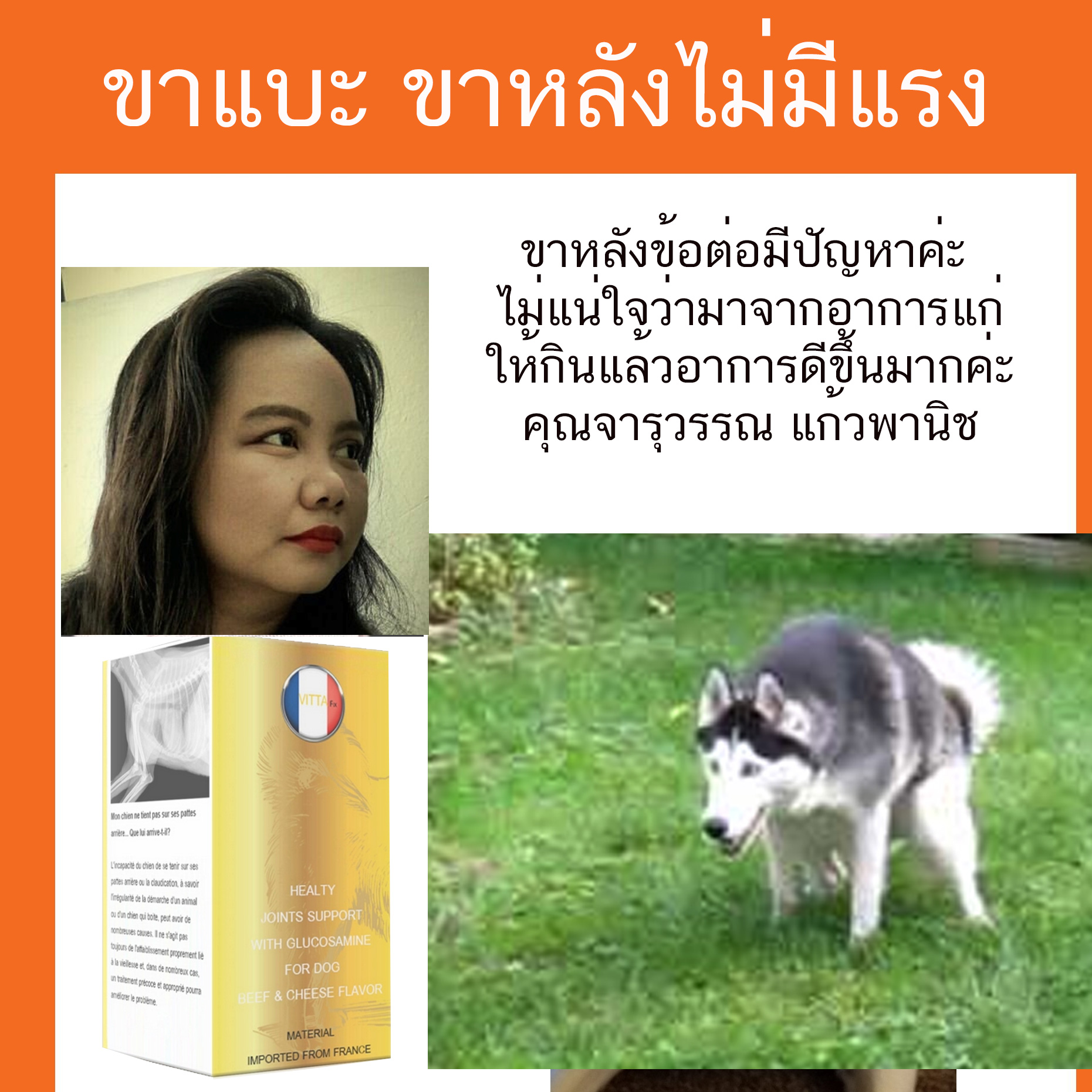 My Image 44