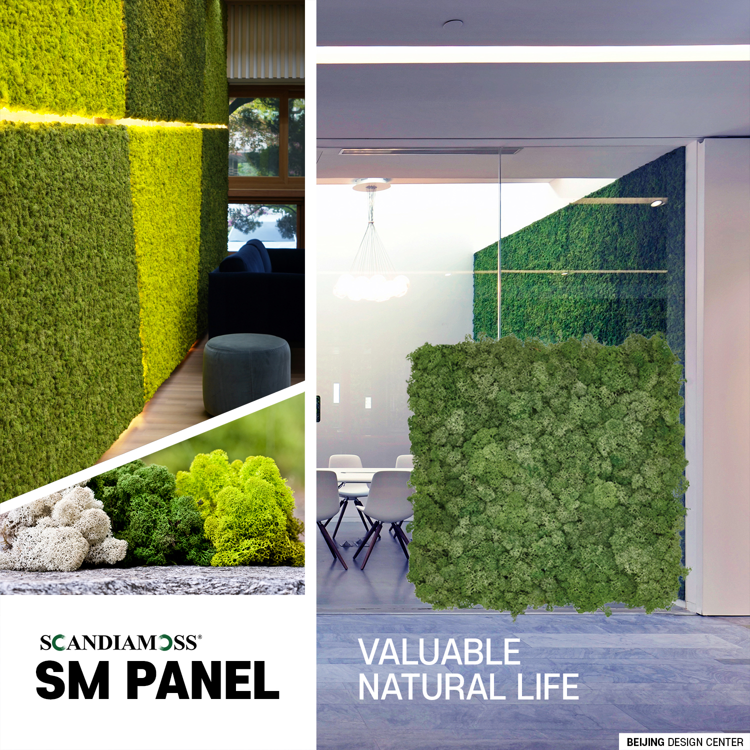 Moss Wall SCANDIAMOSS SM Panel Medium Green Color | Reindeer Moss ...