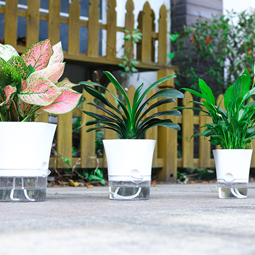 Lọ hoa thủy canh bình nước chậu cây thủy sinh tưới nước tự động nhà văn phòng sáng tạo thấm nước tự động