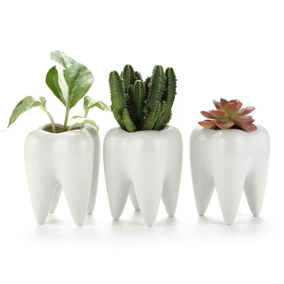 %E3%80%90GlowBound%E3%80%91Tooth%20Shaped%20Tabletop%20Ceramic%20pen%20container%20Flowerpot%20Home%20Furnishings%20Cute%20Cactu%20Pot%20Flower%20Succulent%20Plant%20Nursery%20Basin%20Table%20-%20Image%208