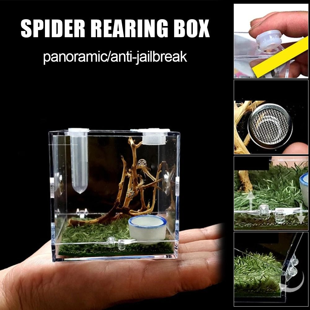 Professional with Humidifier Spider Feeder Spider habitat Breeding Cage ...