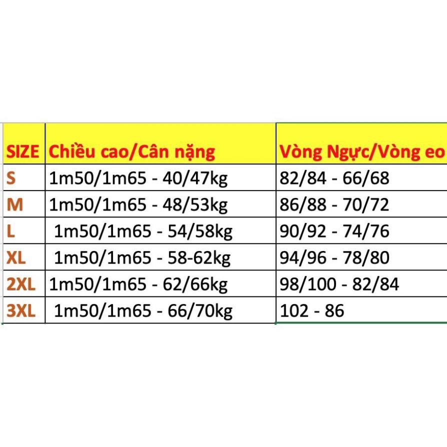 siêu phẩm Áo dài lụa pháp siêu đẹp