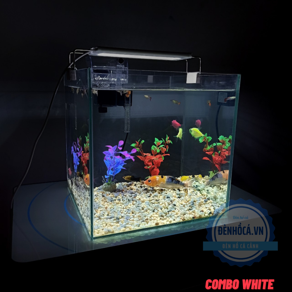 [Hoàn Tiền 10%] Hồ cá mini CUBIC 25cm để bàn