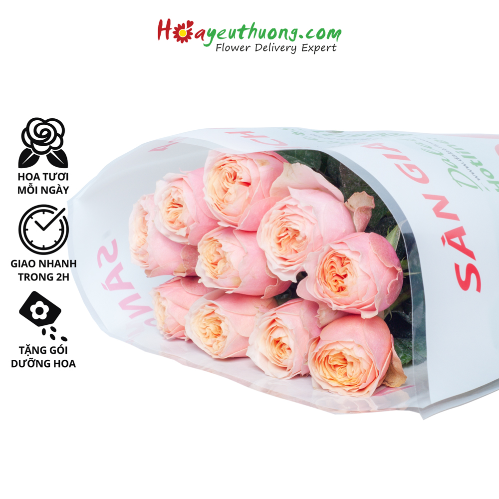 Hoa Hồng Juliet Hoayeuthuong (10 cành) - hoa tươi Đà Lạt trang trí nhà cửa, văn phòng
