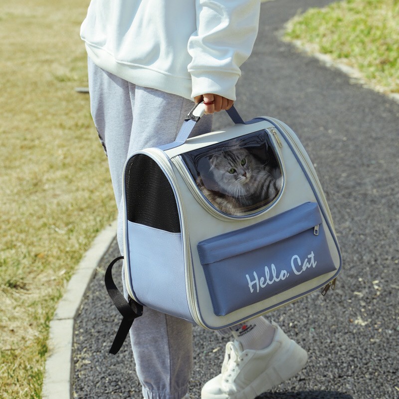 Balo đựng mèo Hello Cat - Balo cho mèo size lớn
